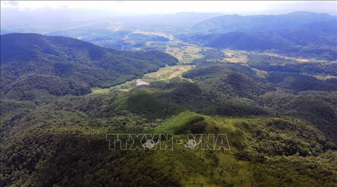 Khu dự trữ sinh quyển Cao nguyên Kon Hà Nừng - món quà vô giá của thiên nhiên ảnh 28