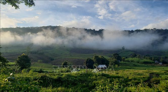 Khu dự trữ sinh quyển Cao nguyên Kon Hà Nừng - món quà vô giá của thiên nhiên ảnh 27
