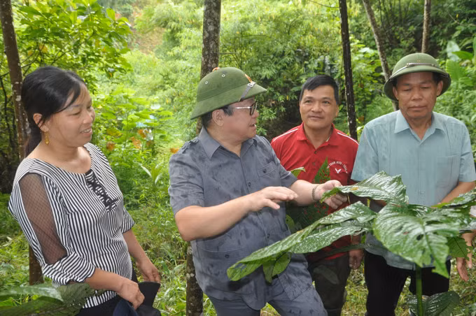 Lễ ra mắt Chi hội Nông dân nghề nghiệp đầu tiên tại Yên Bái ảnh 2