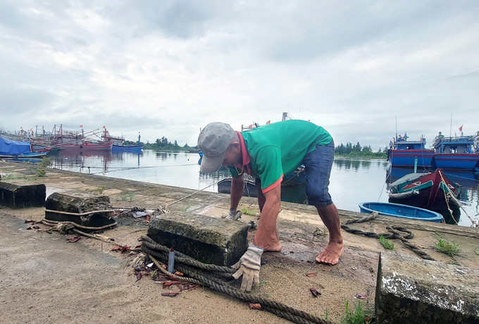 Ngư dân chằng buộc tàu cá để tránh bão gây thiệt hại. Ảnh: Nguyên Lý-TTXVN Ứng phó với bão Noru, Quảng Trị hoàn thành sơ tán dân trước 15 giờ ngày 27/9 ảnh 1