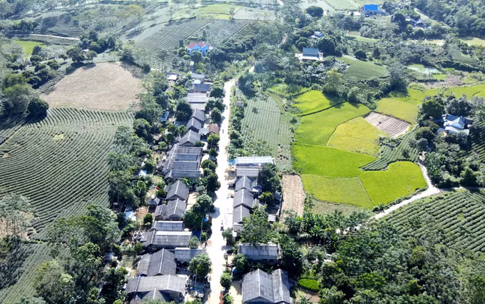20 năm nhường đất cho dự án Thủy điện Tuyên Quang ảnh 1