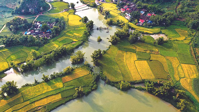 Phong Nậm – Vẻ đẹp hữu tình và thơ mộng ảnh 1