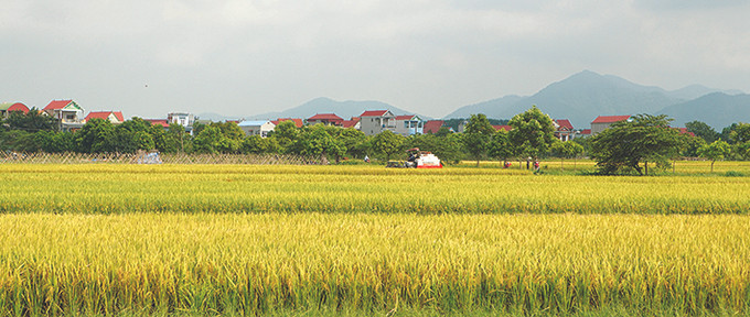 Diện mạo nông thôn mới ở huyện Sóc Sơn (Hà Nội). Ảnh: Ngọc Kỳ Hà Nội xây dựng nông thôn mới ở vùng dân tộc và miền núi ảnh 4