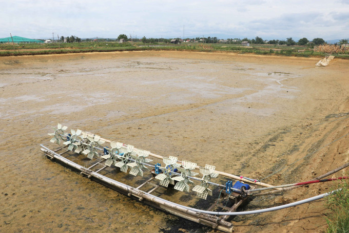 Hồ nuôi tôm ở xã Vĩnh Sơn, huyện Vĩnh Linh, tỉnh Quảng Trị phải xả hết nước sau khi tôm đã chết hết. Ảnh: Nguyên Lý-TTXVN Quảng Trị cần sớm hỗ trợ người nuôi tôm bị thiệt hại nặng ảnh 3