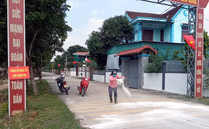 Hà Tĩnh: Triển khai các biện pháp ngặn chặn dịch tả lợn châu Phi bùng phát ảnh 2