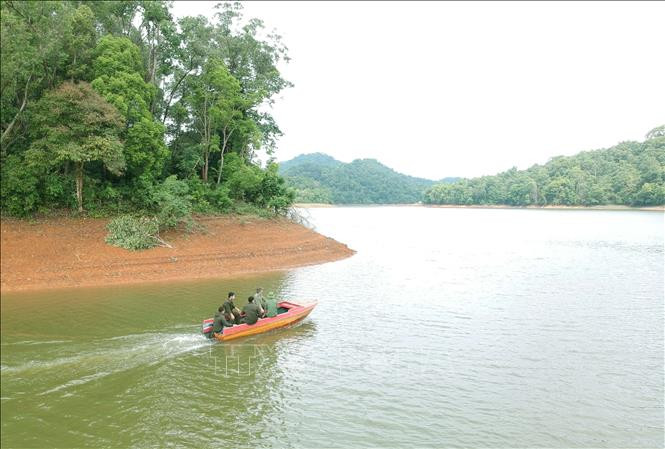 Khám phá lòng hồ Pá Khoang, du khách có thể trải nghiệm bằng đường bộ chạy quanh lòng hồ, xuyên dưới đại ngàn rừng già, hoặc có thể di chuyển bằng phương tiện ca-nô, thuyền máy. Ảnh: Xuân Tiến – TTXVN Khám phá vẻ đẹp hồ Pá Khoang và rừng đặc dụng Mường Phăng ở Điện Biên ảnh 8
