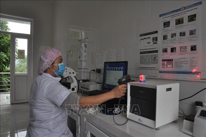 Bác sĩ của Bệnh viên Lao và Bệnh phổi tỉnh Yên Bái thực hiện quy trình xét nghiệm Gene Xpert MTB/RIF. Ảnh: Việt Dũng – TTXVN Yên Bái ứng dụng kỹ thuật xét nghiệm sinh học phân tử, nâng cao hiệu quả điều trị lao và bệnh phổi ảnh 1