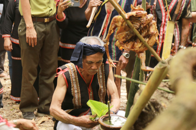 Già Siu Tới ở làng Organg, xã Ia Pếch là người chủ trì lễ cúng Thần rừng. Ảnh: Quang Thái Người Jrai cúng thần rừng - giữ rừng thêm xanh ảnh 3