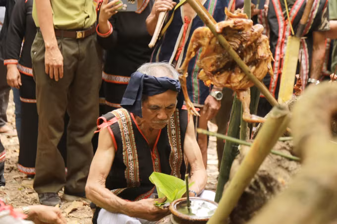 Người Jrai cúng thần rừng - giữ rừng thêm xanh ảnh 3
