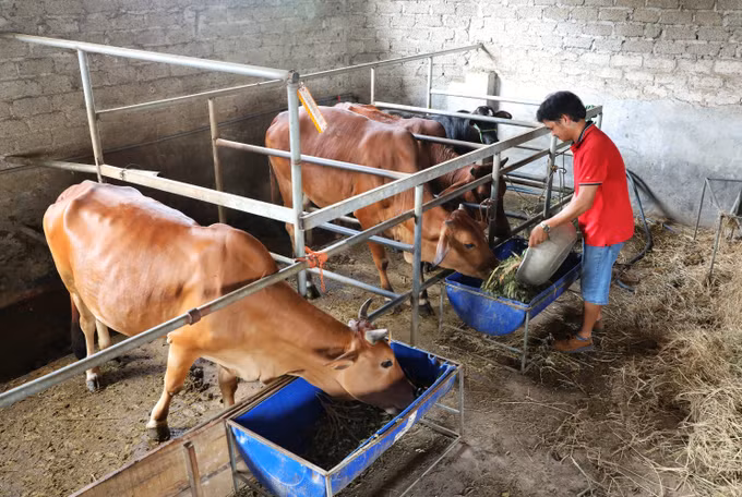 Đa dạng cách làm trong công tác giảm nghèo ở Hiệp Hòa ảnh 2