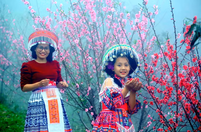 Rực rỡ sắc hoa trên đèo Pha Đin ảnh 2
