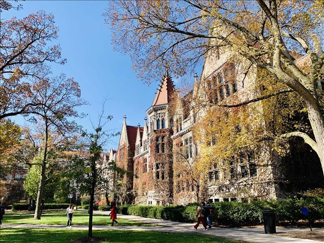 Thu vàng nước Mỹ ảnh 12