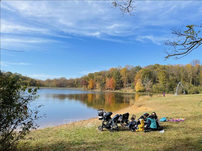 Thu vàng nước Mỹ ảnh 6