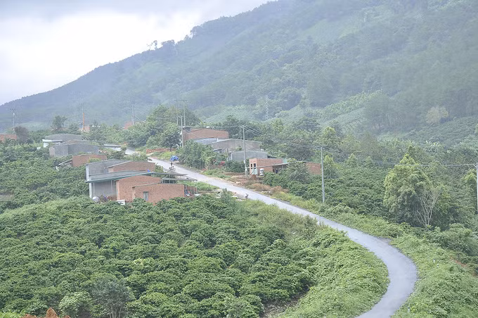 Xuân về trên những thôn làng Kon Tum ảnh 3