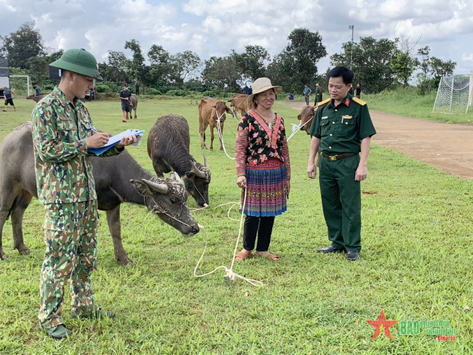 Đại tá Lại Văn Tuấn, Phó chủ nhiệm Chính trị Binh đoàn 16 tặng trâu cho người dân. Ảnh: qdnd.vn Tặng trâu, bò giống cho hộ nghèo ở Đắk Nông ảnh 1
