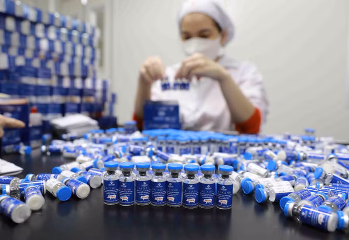 Phương pháp bảo quản và sử dụng vaccine trong chăn nuôi ảnh 1