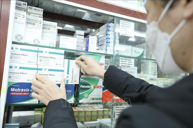 Sau khi có hướng dẫn bán thuốc từ Bộ Y tế, hệ thống nhà thuốc FPT Long Châu đã chính thức mở bán thuốc kháng virus điều trị COVID-19 có thành phần hoạt chất chứa Molnupiravir. Ảnh: Minh Quyết – TTXVN Hướng dẫn sử dụng và giá thuốc điều trị COVID-19 ảnh 2