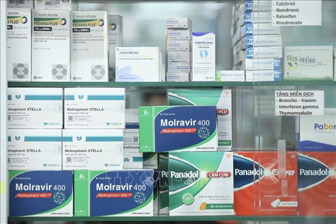 Thuốc kháng virus điều trị COVID-19 có thành phần hoạt chất chứa Molnupiravir. Ảnh: Minh Quyết - TTXVN Hướng dẫn sử dụng và giá thuốc điều trị COVID-19 ảnh 3