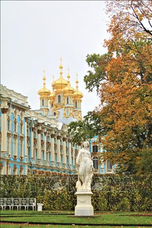 Thu vàng hòa quyện với những mái cung nhà dát vàng vàng rực của Cung Ekaterina. Ảnh: Duy Trinh - P/v TTXVN tại Liên bang Nga Mùa thu vàng ở “Làng vua” St. Petersburg ảnh 3