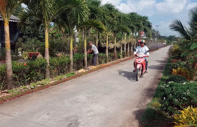 Tạo động lực phát triển vùng đồng bào dân tộc Khmer ảnh 6