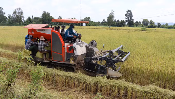 Làng nông thôn mới trong vùng đồng bào dân tộc thiểu số ở Gia Lai ảnh 2