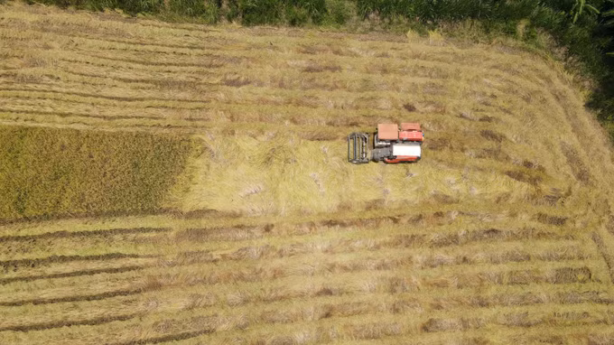 Làng nông thôn mới trong vùng đồng bào dân tộc thiểu số ở Gia Lai ảnh 4