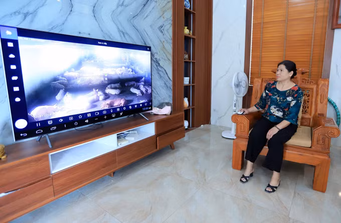 Gương Nông dân Việt Nam xuất sắc: Mô hình chăn nuôi sạch thu lãi trên 1 tỷ đồng mỗi năm của chị Nguyễn Thị Thanh Tâm ảnh 3