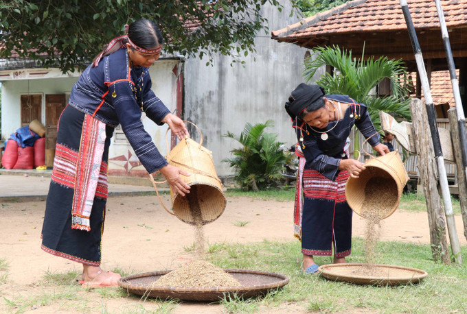 Hạt Cào được sàng sẩy, hong khô. Ảnh: Hồng Điệp – TTXVN Say nồng rượu cần men lá Tây Nguyên ảnh 4