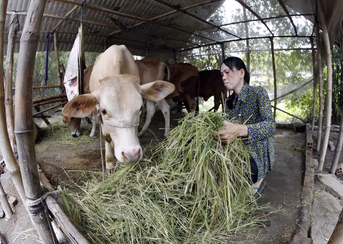 Sóc Trăng thúc đẩy phát triển kinh tế - xã hội vùng đồng bào dân tộc thiểu số ảnh 4