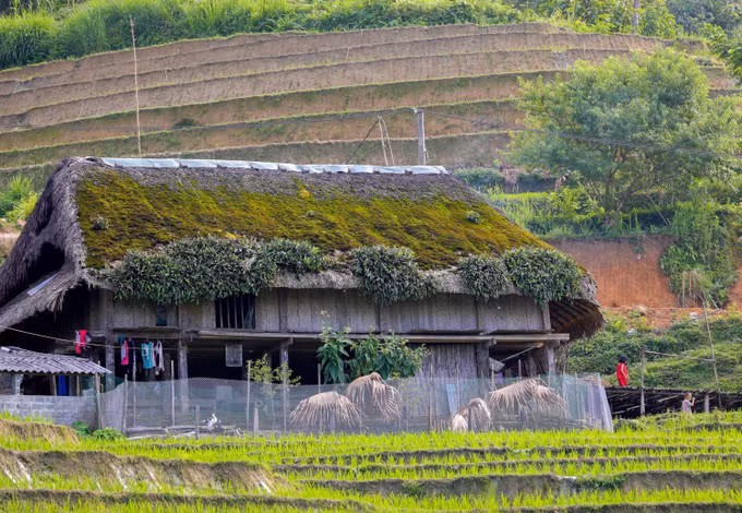 Hà Giang: Thôn Xà Phìn - điểm đến phát triển du lịch tiềm năng ảnh 6
