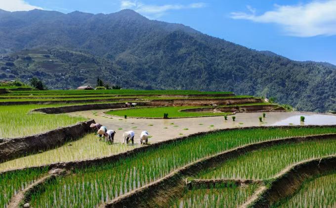 Hà Giang mùa nước đổ muộn ảnh 2