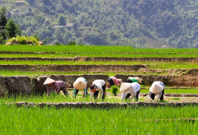 Hà Giang mùa nước đổ muộn ảnh 1