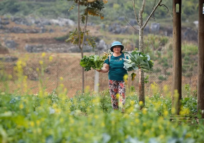 Tạo bước đột phá giảm nghèo bền vững ở vùng cao Hà Giang ảnh 3