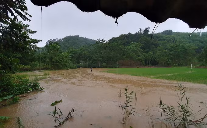 Mưa to gây ngập úng cục bộ nhiều khu vực tại Lào Cai ảnh 1