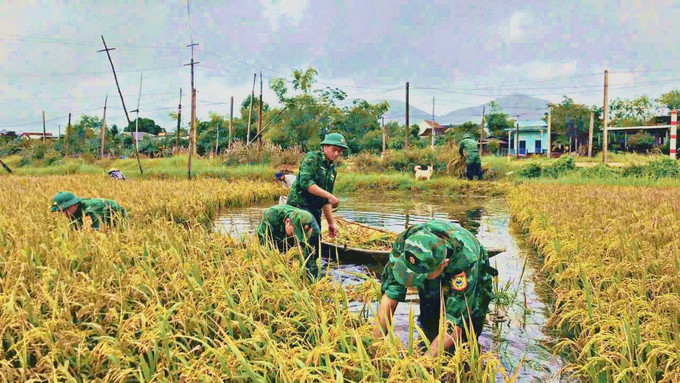Cán bộ chiến sĩ Đồn Biên phòng Cát Khánh, Ban Chỉ huy Biên phòng Gia Lai gặt lúa giúp dân thôn Thắng Kiên, xã Đề Gi. Các chiến sĩ không quản ngại gian khổ, bùn đất, không né tránh công việc nặng nhọc, giúp dân gặt lúa, khẩn trương vận chuyển lên bờ; dọn dẹp, khơi thông mương nước, lối đi bị tắc nghẽn. gatlua1.jpg