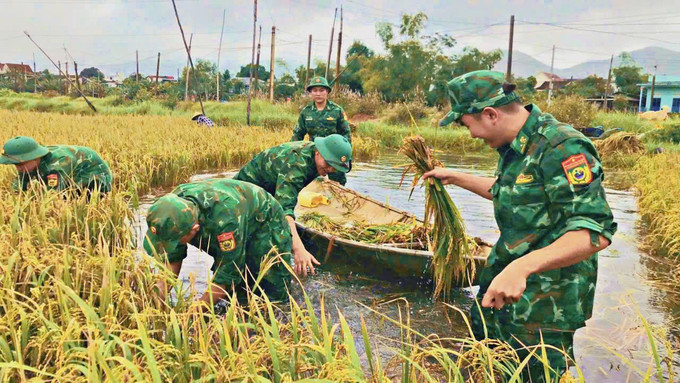 Với người dân thôn Thắng Kiên, các chiến sĩ biên phòng không chỉ là lực lượng bảo vệ đường biên, cột mốc. Họ còn là những người thân trong gia đình của đồng bào nơi biên giới, sẵn sàng lao động, sẻ chia gánh nặng trong những lúc khó khăn. Những người lính biên phòng đã hăng say lao động góp sức, giúp dân thu hoạch lúa, hoa màu nhằm giảm thiểu thiệt hại do thiên tai gây ra. gatlua2.jpg