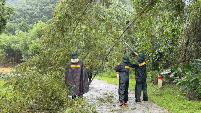 Ở những địa bàn vùng sâu, vùng xa cây xanh gãy đổ nhiều gây cản trở giao thông. mua6.jpg