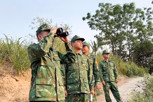 Ngăn ngừa buôn lậu tại điểm nóng Lao Bảo