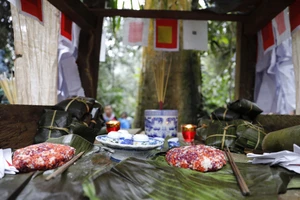 Lễ cúng rừng - nét văn hóa đặc sắc của người Mông ở Lào Cai