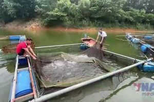Khơi dậy tiềm năng phát triển ở xã Đại hội điểm tỉnh Lào Cai