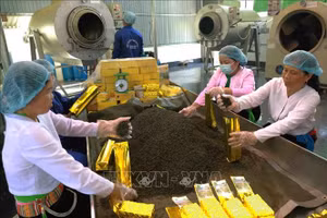 Phú Thọ: Thúc đẩy khu vực kinh tế tư nhân phát triển năng động hơn