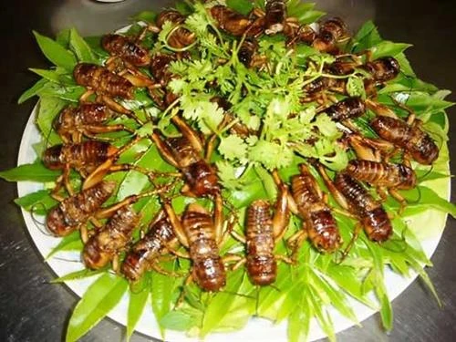Muồm muỗm rang Mường Lò | Báo ảnh Dân tộc và Miền núi