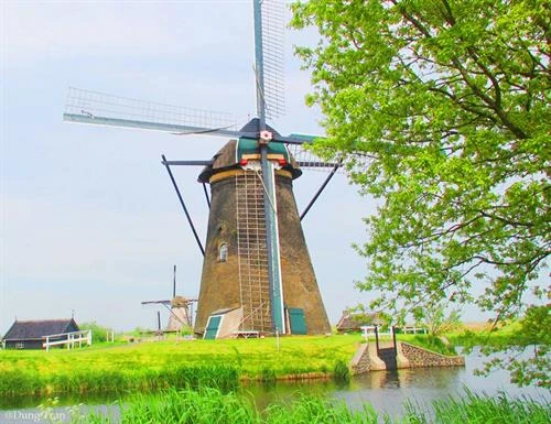 Quốc gia nào nổi tiếng với hoa tulip và cối xay gió?
