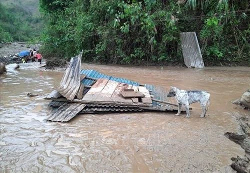 Lai Châu: Tập trung tìm kiếm người mất tích, giúp dân khắc phục thiệt hại do mưa đá và gió lốc