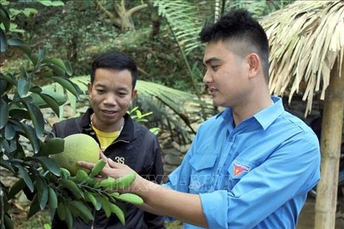 Anh Hà Văn Thượng thành công với mô hình nghỉ dưỡng sinh thái homestay