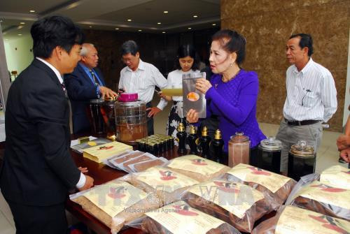 Kiều bào “hiến kế”cho phát triển nông nghiệp ứng dụng công nghệ cao tại Thành phố Hồ Chí Minh