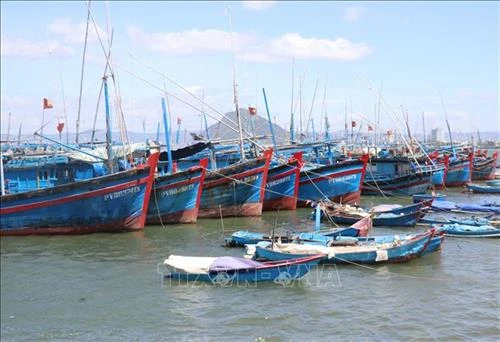 Khắc phục "thẻ vàng" IUU: Phú Yên đẩy nhanh lắp đặt thiết bị giám sát tàu cá