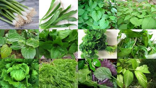Tác dụng chữa bệnh ít biết của các loại rau thơm