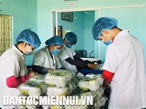Mãng cầu Bà Đen