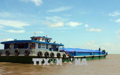 Thành phố Hồ Chí Minh: Phát hiện, thu giữ 500 tấn phân urê không rõ nguồn gốc